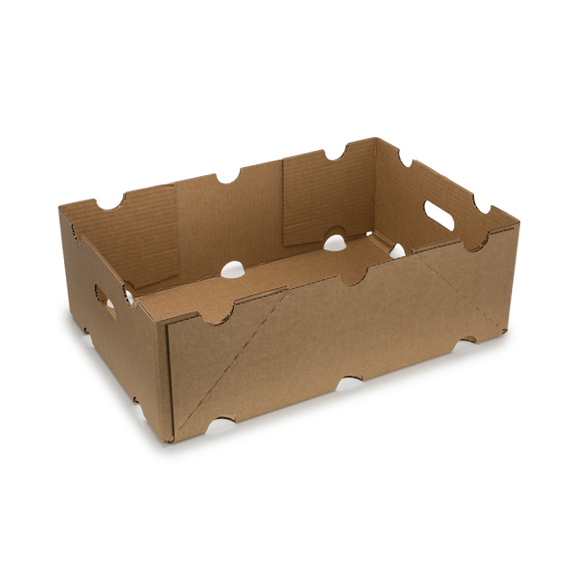 Fruit Market Carton Tray Box with Air holes