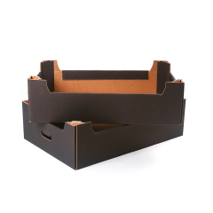 Fruit Market Carton Tray Box with Air holes