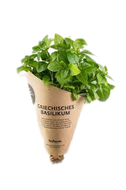 Vegetable kraft paper wraper packaging