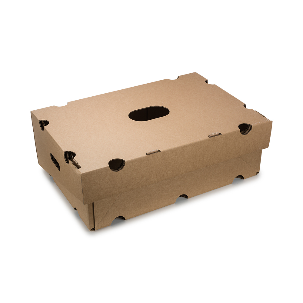 Fruit Market Carton Tray Box with Air holes