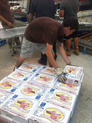 5kg Kings Prawns Carton box for Australia Seafood