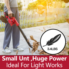 Cordless Blower / Vacuum