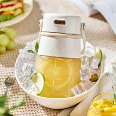 800ml Rechargeable Portable Juicer Manufacturer - Wireless Mixer Bottle
