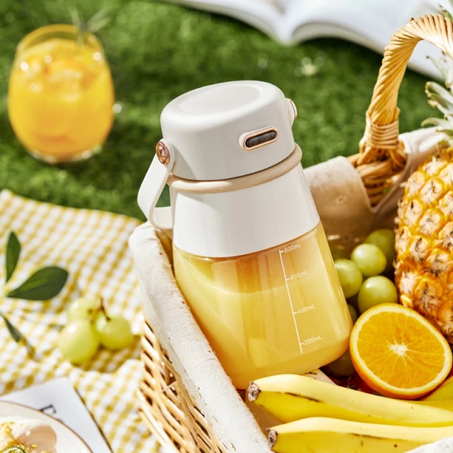 800ml Rechargeable Portable Juicer Manufacturer - Wireless Mixer Bottle