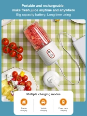 300ml Portable USB Rechargeable Blender - OEM/ODM Available