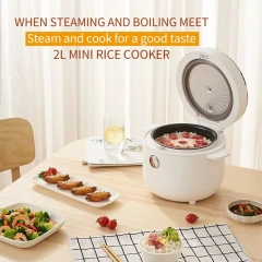 Smart Multi-Function Mini Rice Cooker for OEM/ODM Service