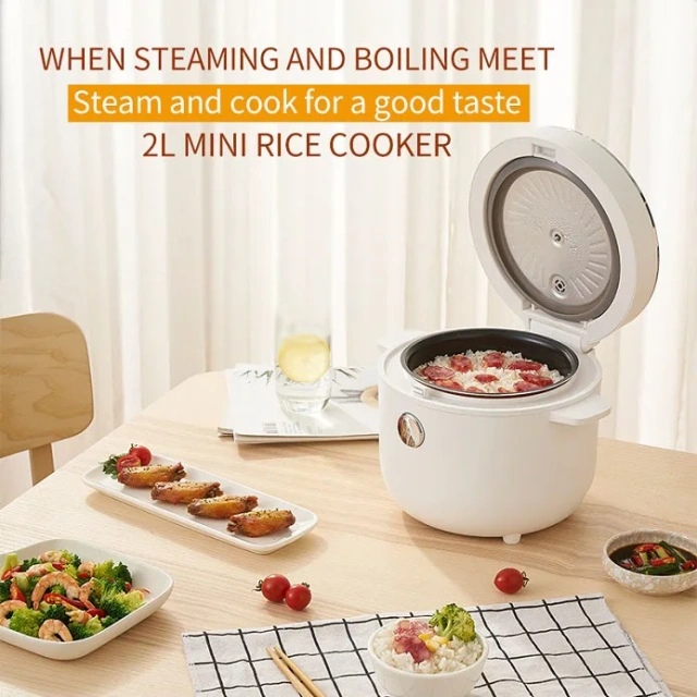 Smart Multi-Function Mini Rice Cooker for OEM/ODM Service