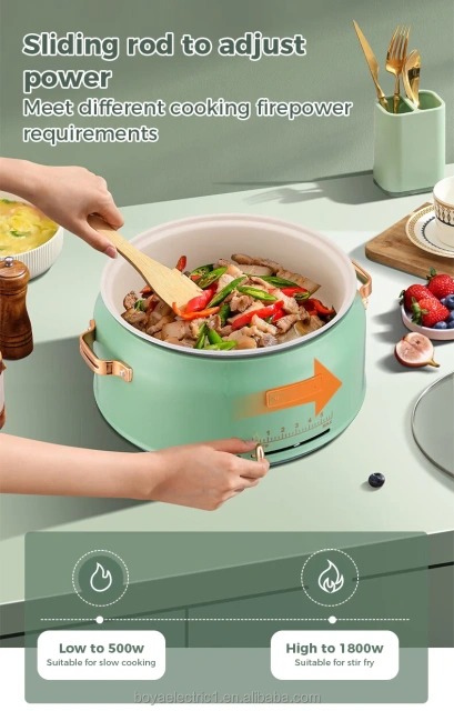 Electric Multi Hotpot Cooker Manufacturer