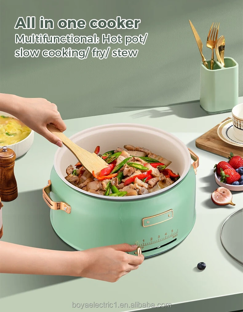 Electric Multi Hotpot Cooker Manufacturer