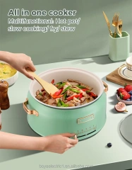 Electric Multi Hotpot Cooker Manufacturer