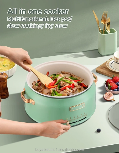 Electric Multi Hotpot Cooker Manufacturer