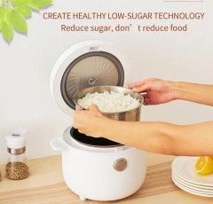 Smart Multi-Function Mini Rice Cooker for OEM/ODM Service