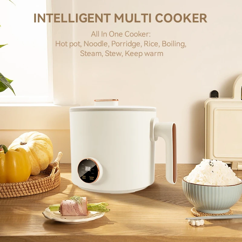 1.6 Litre Electric Multi Cooker Steam Egg Electric Noodle Cooker