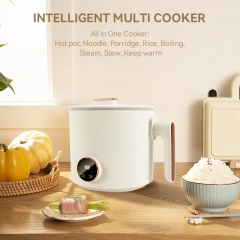 1.6 Litre Electric Multi Cooker Steam Egg Electric Noodle Cooker