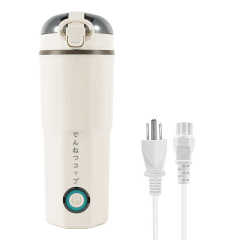 Electric Kettle Hot Water Boiler for Tea Portable Kettle for Trips
