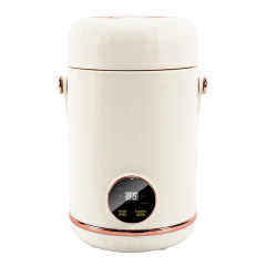 1.0 Litre Personal Electric Hot Pot Noodle Cooker