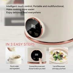 1.0 Litre Personal Electric Hot Pot Noodle Cooker