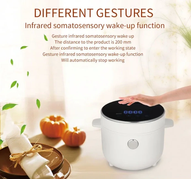 Intelligent Rice Cooker Smart Mini Portable  Low Sugar Rice Cooker