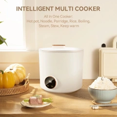 1.6 Litre Electric Multi Cooker Small Hot Pot Cooker