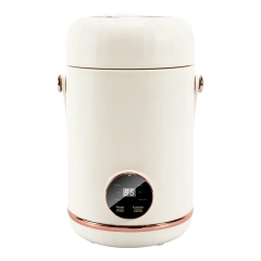 1.0 Litre Personal Electric Hot Pot Noodle Cooker