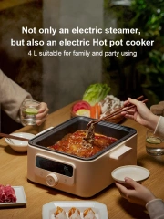 Electric Steamer Steam Cooker Multi-functional Hot Pot