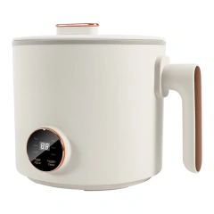 1.6 Litre Electric Multi Cooker Steam Egg Electric Noodle Cooker