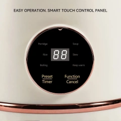 1.0 Litre Personal Electric Hot Pot Noodle Cooker