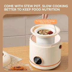 Small Size Electric Cooking Pot Portable Slow Cooker Rice Cooker