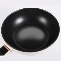 4 L Capacity Nonstick Coating Power Control Electric Multi Cooking Pot Hot Pot Cooker with Steamer