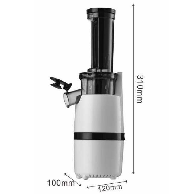 Mini Slow Juicer
