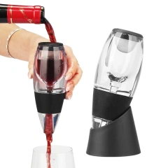 Aerating Wine Instantly Speedy Wine Decanter Glass Wine Air Aerator Spout Pourer