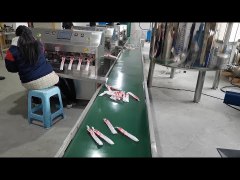 BD1410B2 Filling and Sealing Machine