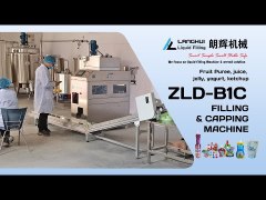 ZLD-B1 filling and capping machine
