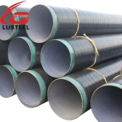 Drill pipe casing
