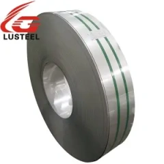 Stainless steel strip
