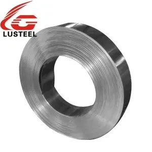 Stainless steel strip