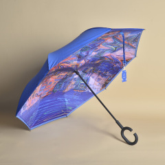 Umbrellas supplier wholesale inverse magic flower paraguas city souvenirs reverse inverted portable umbrella