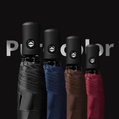 Logo Printing Cheap Price Portable Folding Fully-Automatic Windproof Business Travel Umbrellas for The Rain