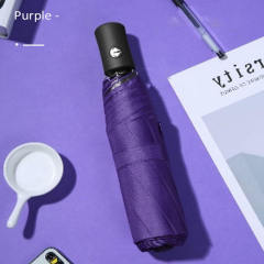 Logo Printing Cheap Price Portable Folding Fully-Automatic Windproof Business Travel Umbrellas for The Rain