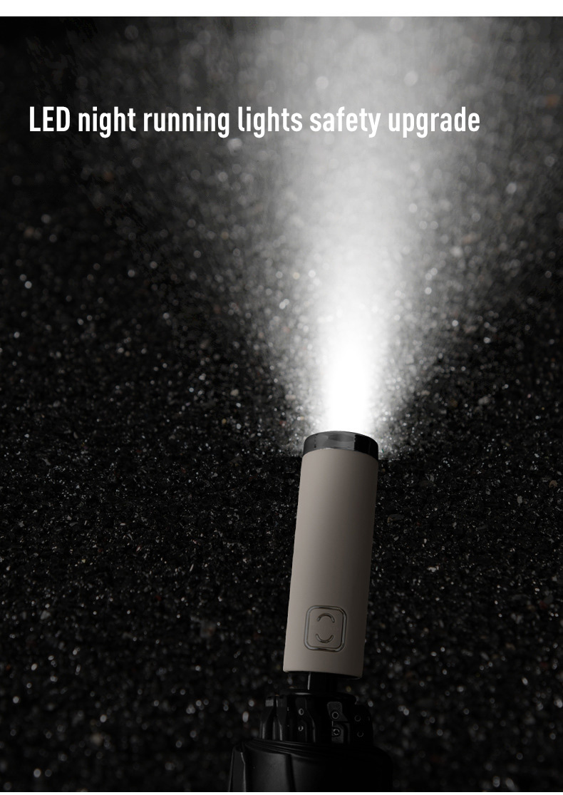 Umbrella in use during rain