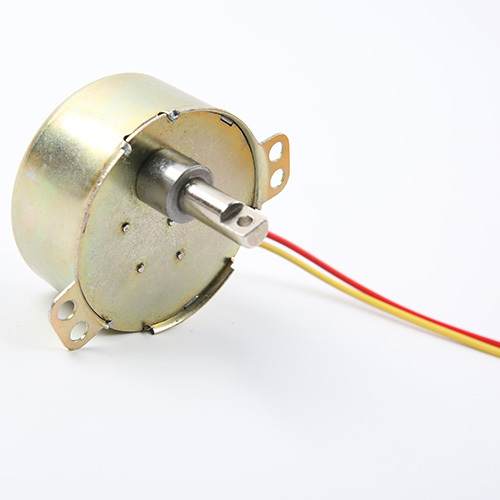 Synchronous Motor-49TYJ-H279