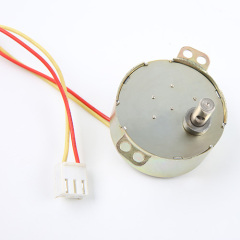 Synchronous Motor-49TYJ-H423