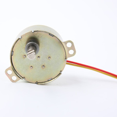 Synchronous Motor-49TYJ-H279