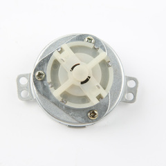 DC Gear Motor-49TYJ-DC