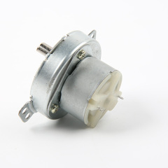 DC Gear Motor-49TYJ-DC
