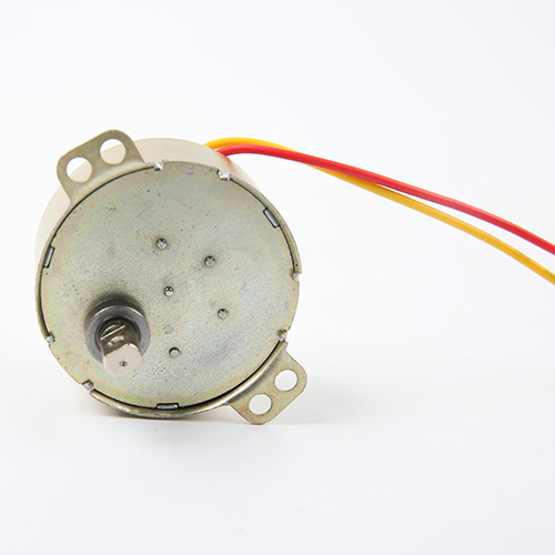 Synchronous Motor-49TYJ-H250