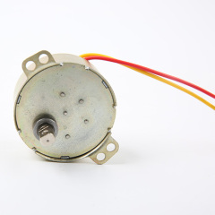 Synchronous Motor-49TYJ-H250