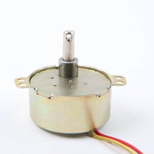 Synchronous Motor-49TYJ-H279