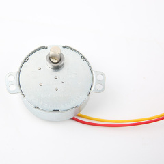 Synchronous Motor-49TYJ-B328