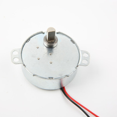 DC Synchronous Motor 49TYJ-AC/DC